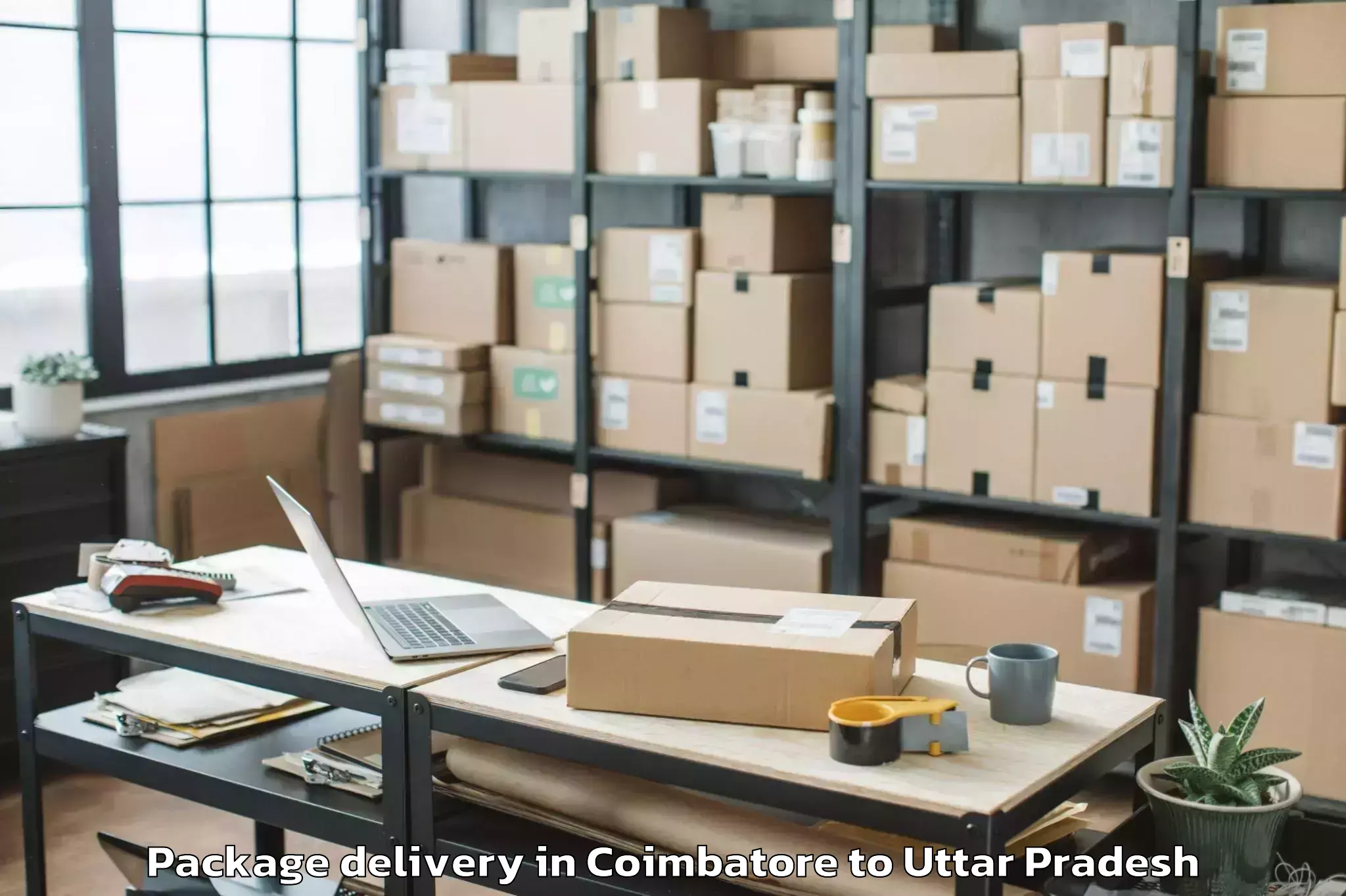 Expert Coimbatore to Haraiya Package Delivery